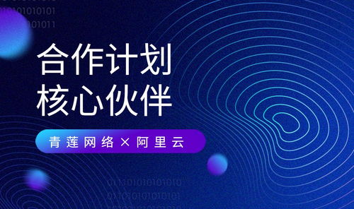 青蓮網絡 攜手阿里云，共建云原生及MSP合作新生態(tài)